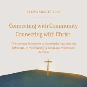 Stewardship