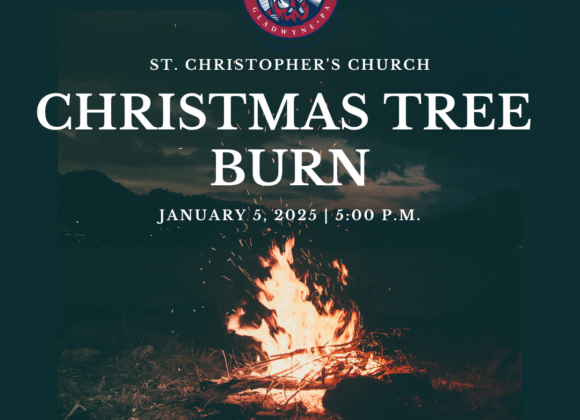 Christmas Tree Burn