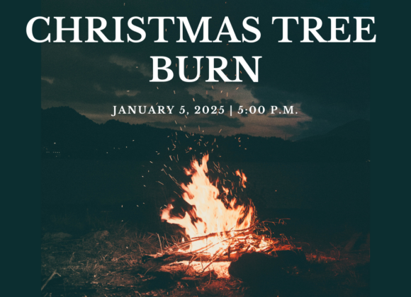 Christmas Tree Burn