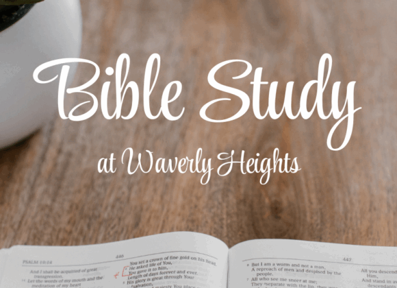 Bible Study