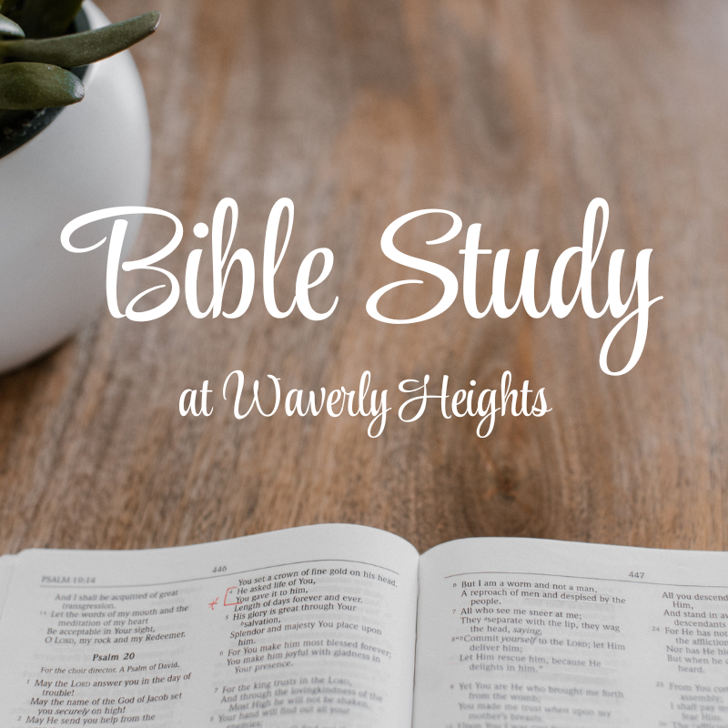 Bible Study